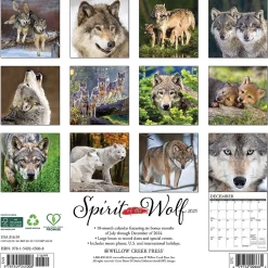 2025 Willow Creek Spirit of the Wolf 12" x 12" Monthly Wall Calendar (45008)