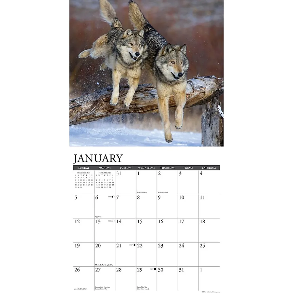 2025 Willow Creek Spirit of the Wolf 12" x 12" Monthly Wall Calendar (45008)