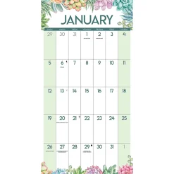 2025 Willow Creek Succulents 12