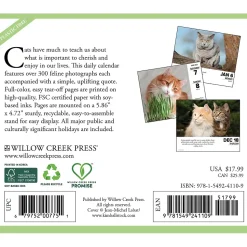 2025 Willow Creek What Cats Teach Us 6" x 5.5" Day-to-Day Calendar (41109)