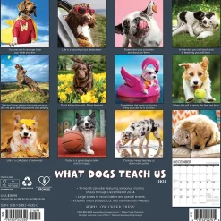 2025 Willow Creek What Dogs Teach Us 12" x 12" Yearly Wall Calendar (45350)