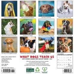 2025 Willow Creek What Dogs Teach Us 7" x 7" Monthly Wall Calendar (46029)