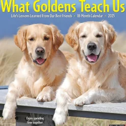 2025 Willow Creek What Goldens Teach Us 12" x 12" Monthly Wall Calendar (45374)