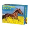 2025 Willow Creek What Horses Teach Us 6" x 5.5" Day-to-Day Calendar (41123)
