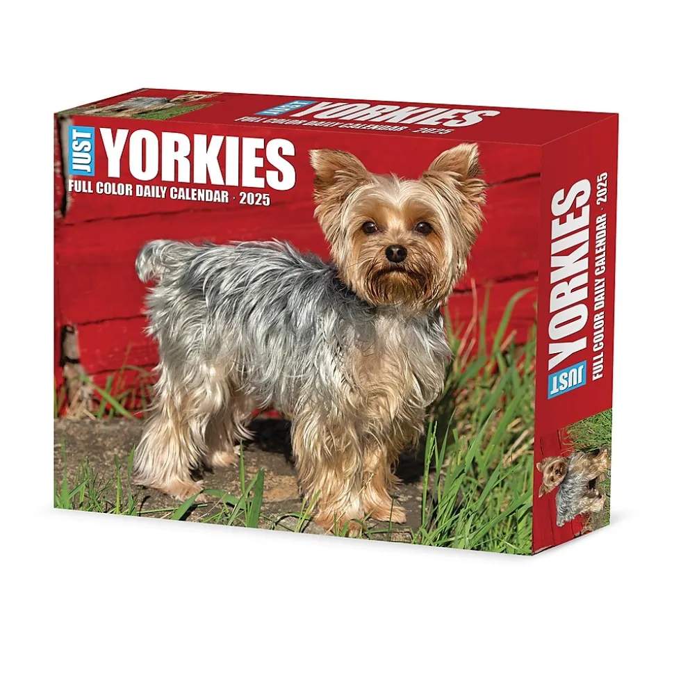 2025 Willow Creek Yorkies 6" x 5.5" Day-to-Day Calendar (41130)