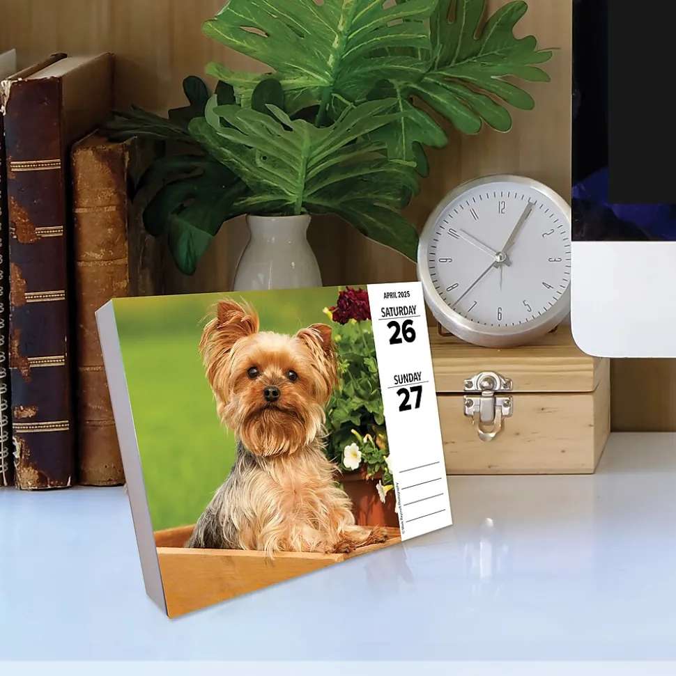 2025 Willow Creek Yorkies 6" x 5.5" Day-to-Day Calendar (41130)
