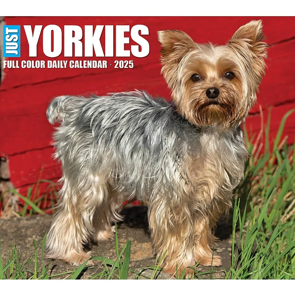 2025 Willow Creek Yorkies 6" x 5.5" Day-to-Day Calendar (41130)