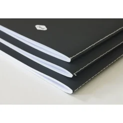 : AMEYA'S REALM SKINNY LAYFLAT NOTEBOOK 3-PACK