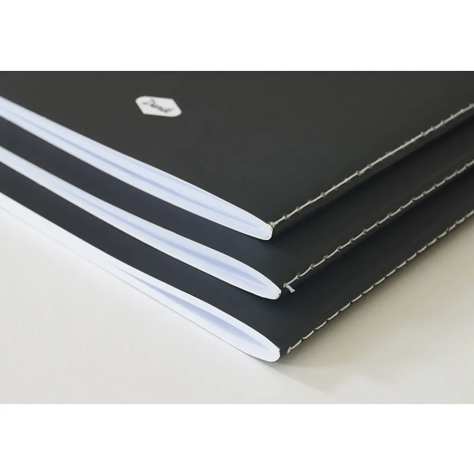 : AMEYA'S REALM SKINNY LAYFLAT NOTEBOOK 3-PACK