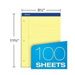 Ampad Double-Sheet Notepad, 8.5