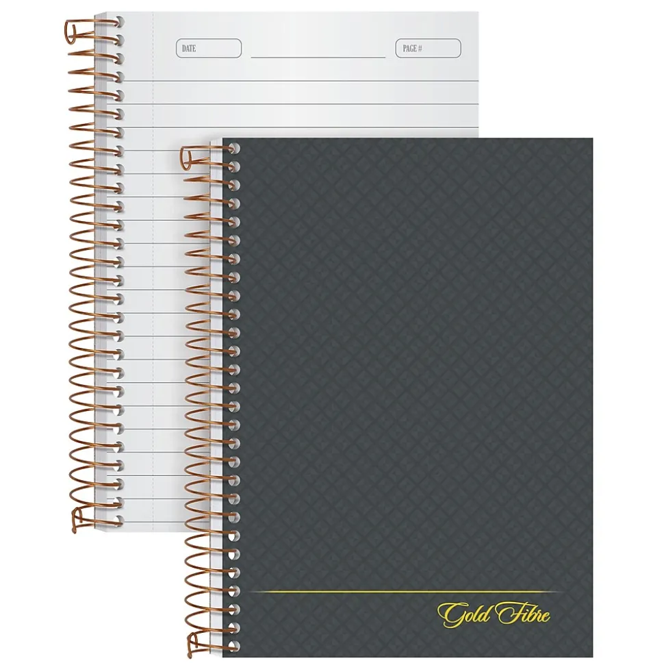 Ampad 1-Subject Professional Notebooks, 5" x 7", College Ruled, 100 Sheets, Gray/Silver (20-803R)