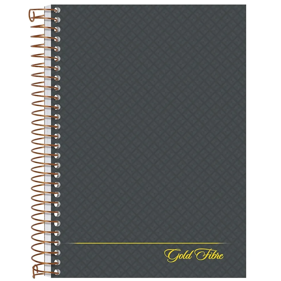 Ampad 1-Subject Professional Notebooks, 5" x 7", College Ruled, 100 Sheets, Gray/Silver (20-803R)