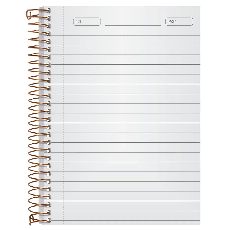 Ampad 1-Subject Professional Notebooks, 5" x 7", College Ruled, 100 Sheets, Gray/Silver (20-803R)