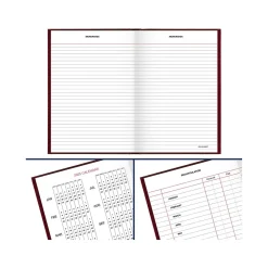 AT-A-GLANCE Standard Hardcover 2025 Daily Diary, 5.75