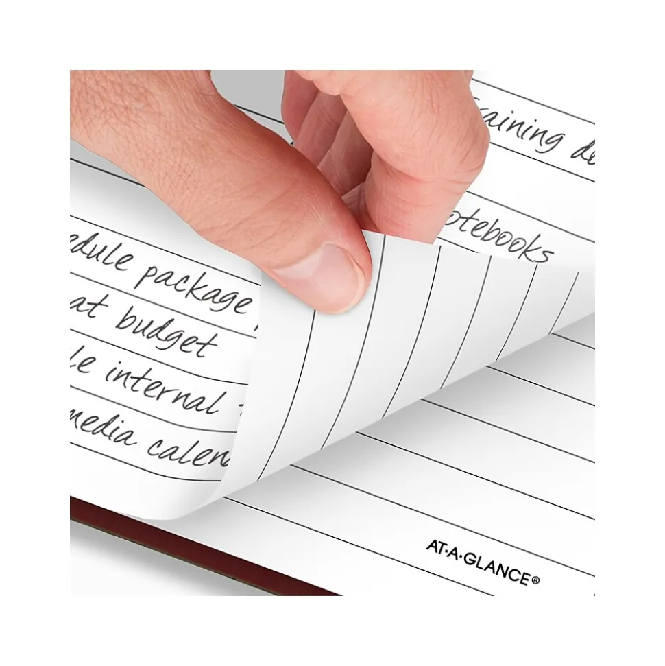 AT-A-GLANCE Standard Hardcover 2025 Daily Diary, 5.75" x 8.25", Wide-Ruled, Red (SD387-13-25)