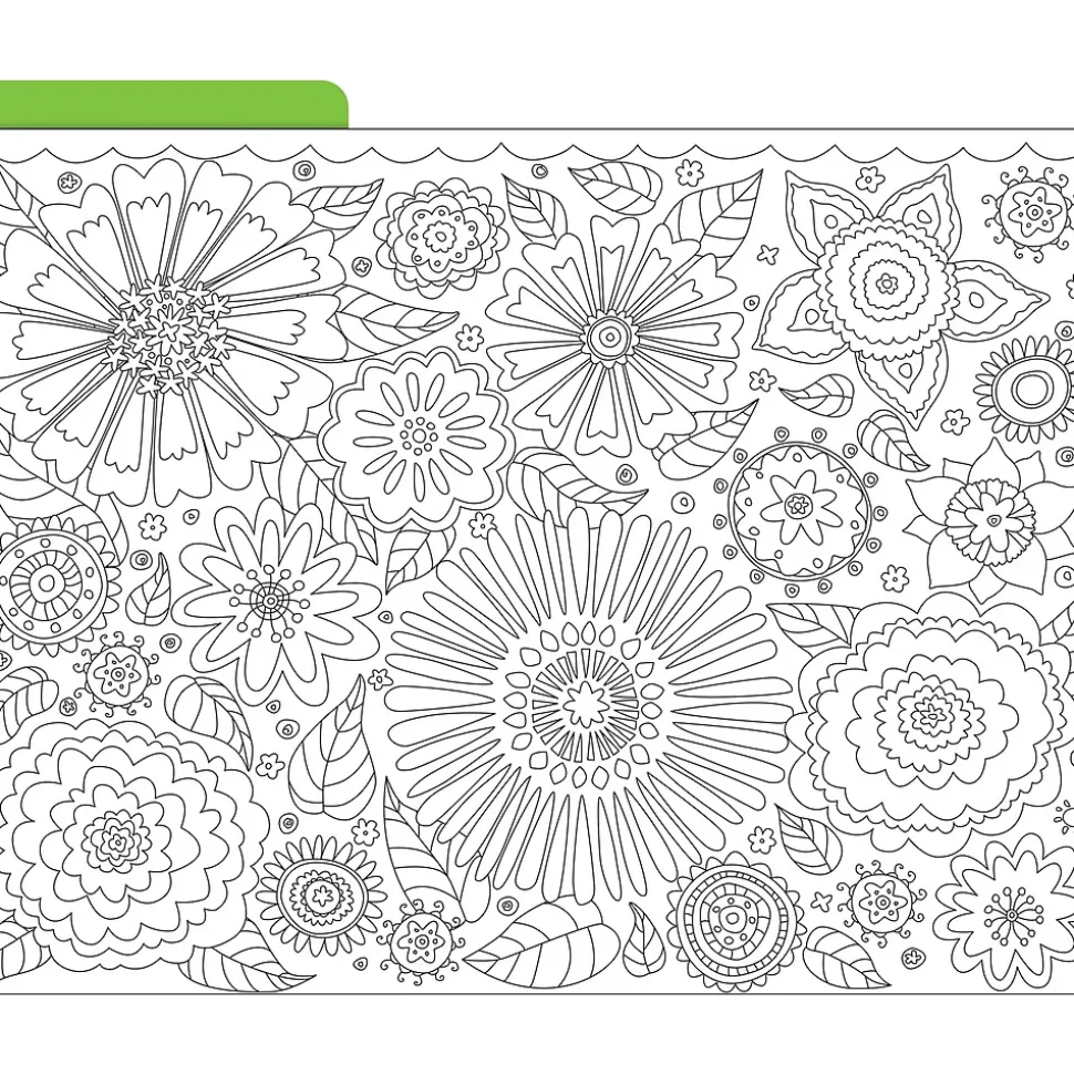 Barker Creek Color Me! File Folder Set, 1/3-Cut Tab, Letter Size, In My Garden, 12/Pack (2008)