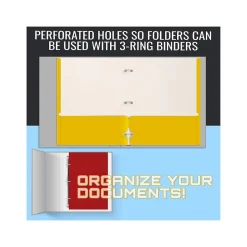 Better Office 3-Hole Punched 2-Pocket Portfolio Folders, Assorted Colors, 100/Pack (80100-100PK)