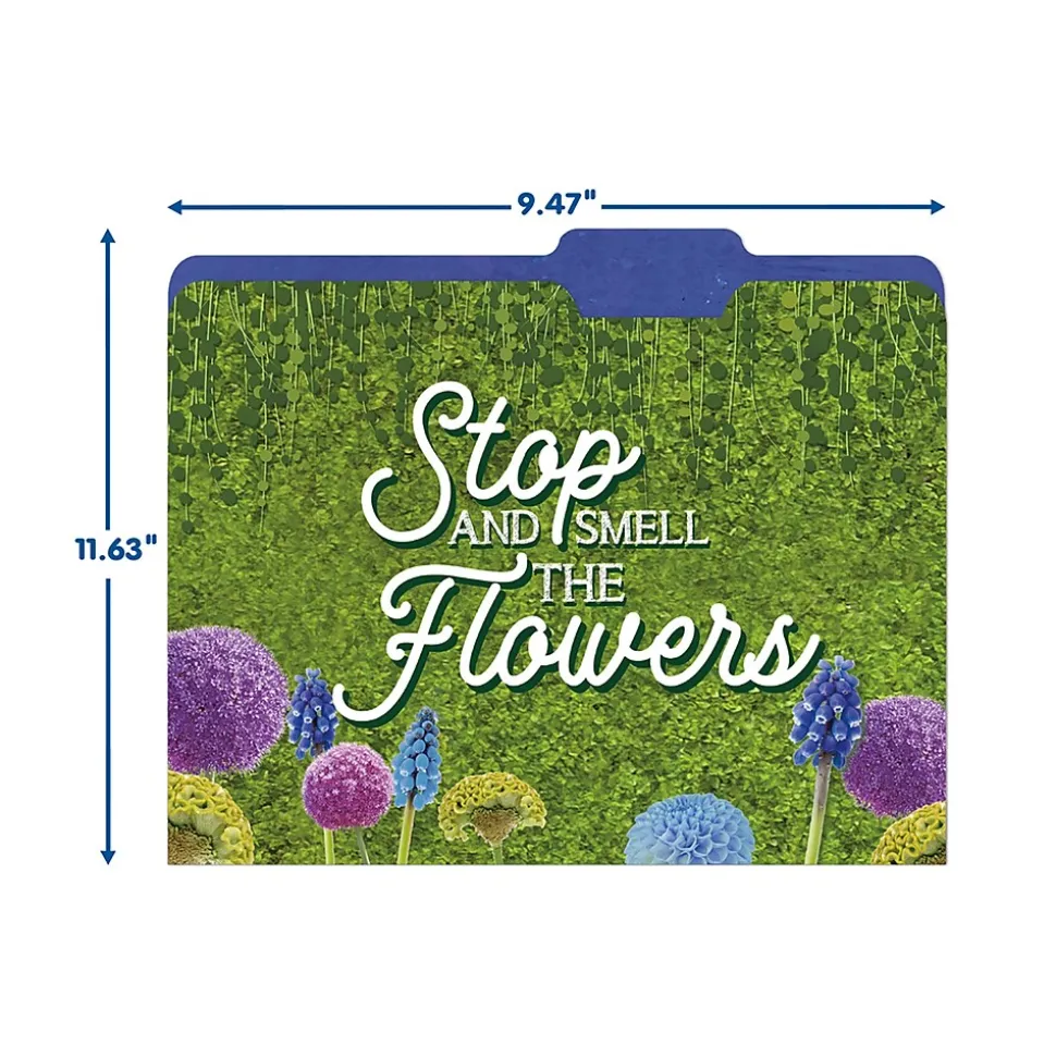 Eureka Curiosity Garden File Folders, 1-Tab, Assorted, Letter Size, 6/Bundle (EU-866450-6)
