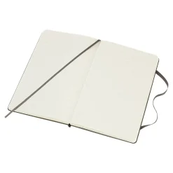 Moleskine Classic Professional Notebooks, 5