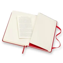 Moleskine Pocket 1-Subject Professional Notebooks, 3.5