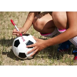 Sharpie Extreme Permanent Markers, Fine Tip, Black, 12/Pack (1927432)