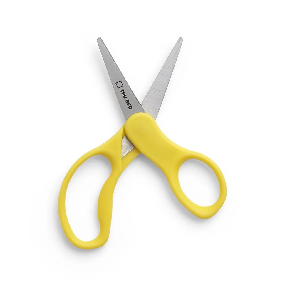 Staples 5" Kids Pointed Tip Stainless Steel Scissors, Straight Handle, Right & Left Handed, 2/Pack (TR55054)