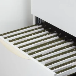 Staples Hanging File Pockets, 3.5