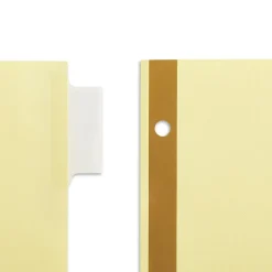 Staples Large Tab Insertable Paper Divider, 8 Tabs, Buff with Clear Tabs, 4 Sets (13516/14482)