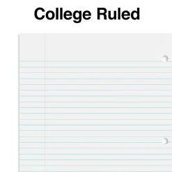 Staples 1-Subject Notebook, 8.5