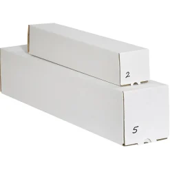 Tape Logic Removable Labels, 1" Circles, Clear, 500 /Roll (DL1389CL)